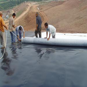 供應(yīng)防滲膜土工布排水板hdpe土工膜防滲土工膜膨潤土防水毯歡迎訂購