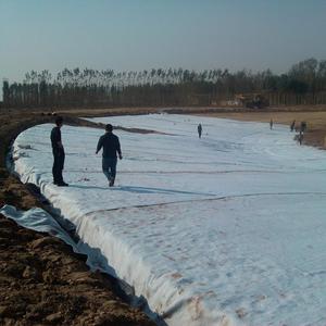 新疆泰宏品牌GCL鈉基膨潤土襯墊、防水墊、復合膨潤土防水氈、復合防水墊氈