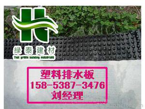 錦州%2公分排水板/0.8-6.0cm塑料透水板-廠家送貨到工地2公分透水板價(jià)格